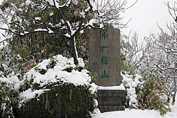 南京十大赏雪胜地排行榜，南京十大看雪好去处