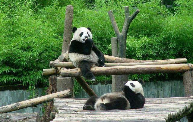 四川景点排行榜前十名,四川旅游必去十大景点推荐