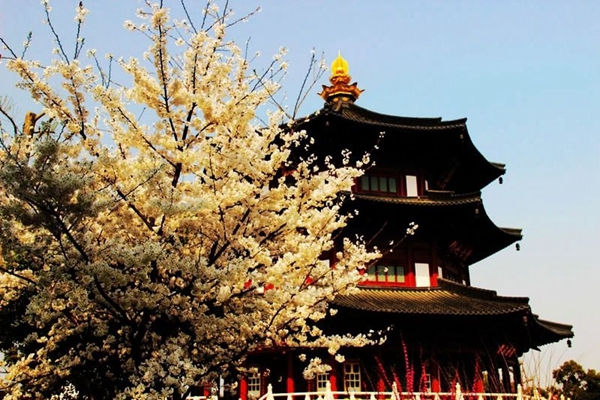 苏州十大必玩景点排行榜,苏州景点排行榜前十名