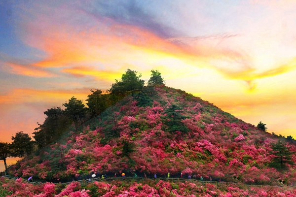武汉十大名山排行榜,湖北名山排名榜推荐