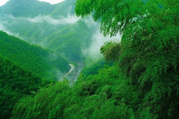 无锡夏季旅游景点排行,无锡旅游必去十大景点