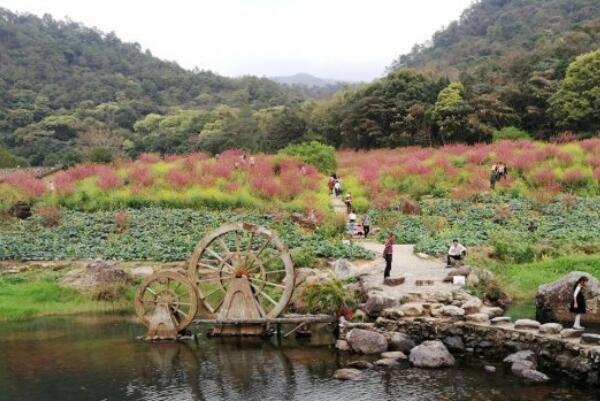 广州十大自驾游景点,广州旅游攻略景点必去