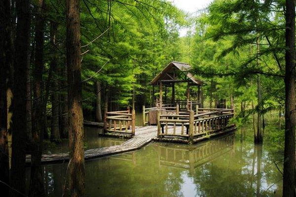 南京十大名山排行榜，南京最有名的山峰排行