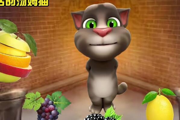 十大手机益智游戏排名,手机益智游戏排行榜前十名