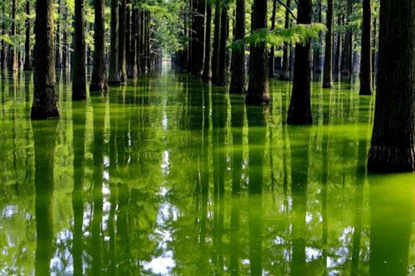 湖北十大著名湖泊排名,中国的湖泊有哪些