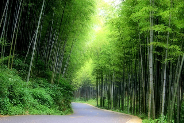 无锡十大著名景点排行榜,无锡旅游必去十大景点