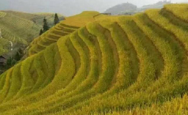 广西旅游必去十大景点排名,广西旅游攻略必去景点