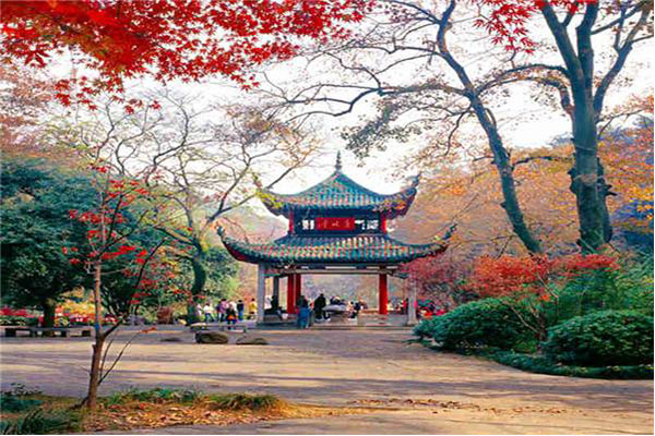 湖南旅游十大必去景区,湖南有哪些旅游景点好玩的地方