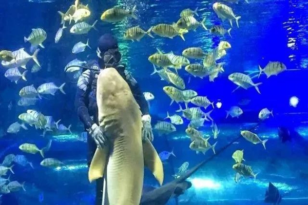 苏州十大主题公园排行榜,苏州的旅游景点主要景点