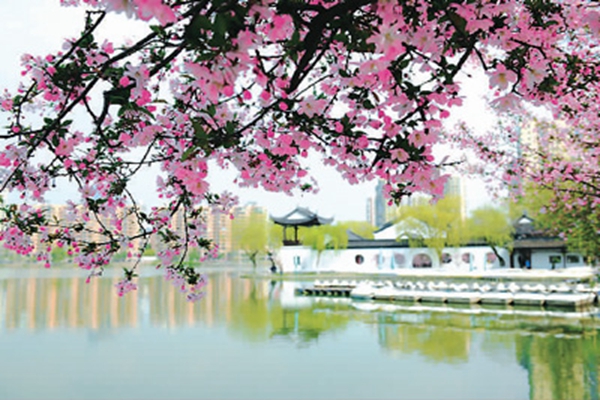 南京十大著名湖泊排行榜,南京旅游湖泊有哪些