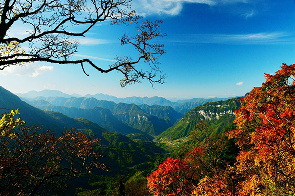 夏天去哪里旅游好玩又凉快的?夏季旅游最佳去处国内