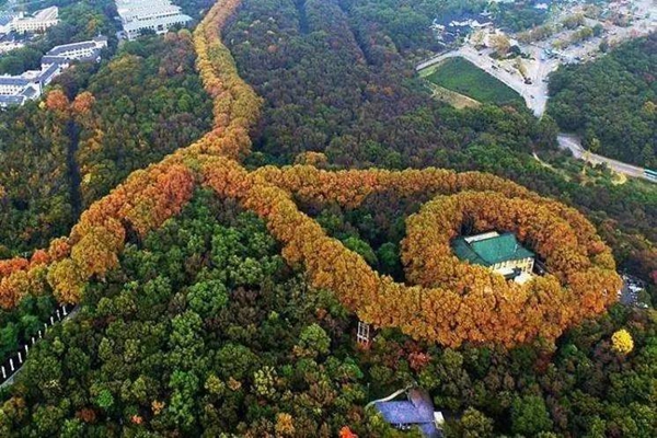 南京十大名山排行榜，南京最有名的山峰排行