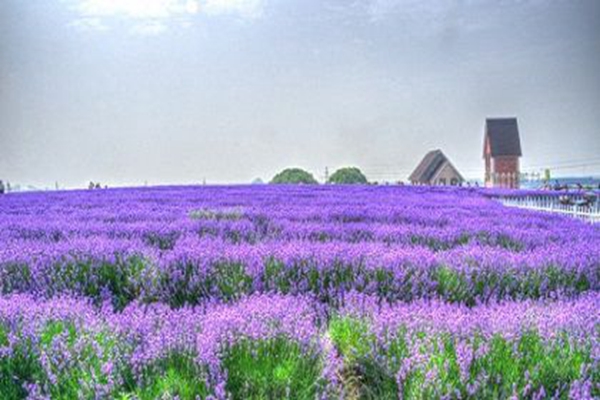 无锡十大名山排行榜,无锡的名山有哪些