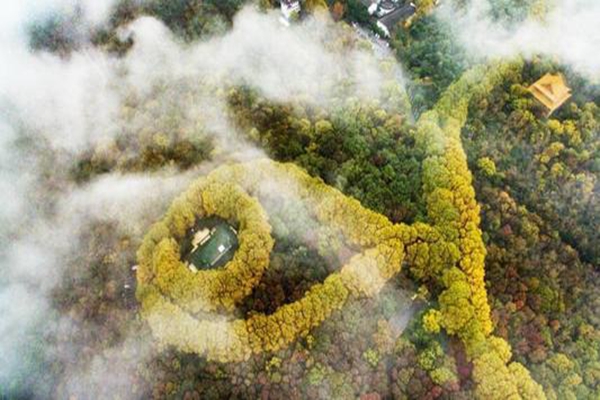 南京夜游景点排行榜,南京十大夜游景点