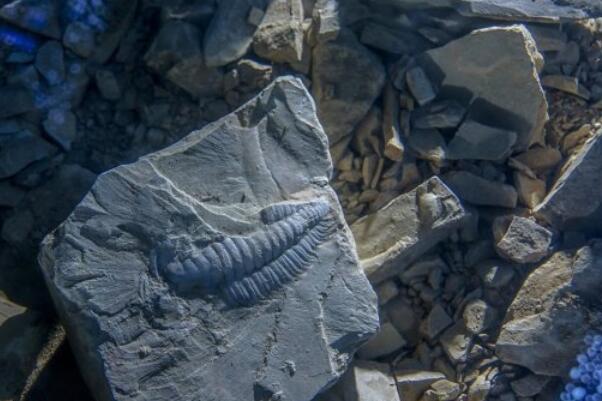 中国十大世界自然遗产,世界自然遗产中国名单