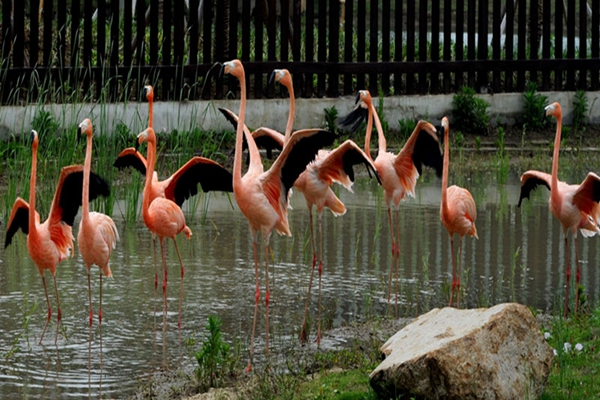 苏州十大必玩景点排行榜,苏州景点排行榜前十名