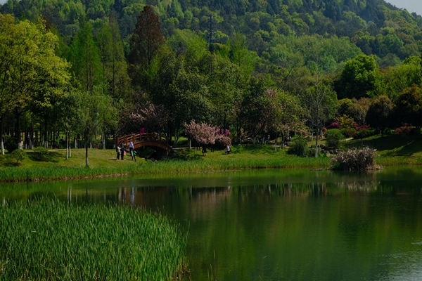 武汉十大名山排行榜,湖北名山排名榜推荐