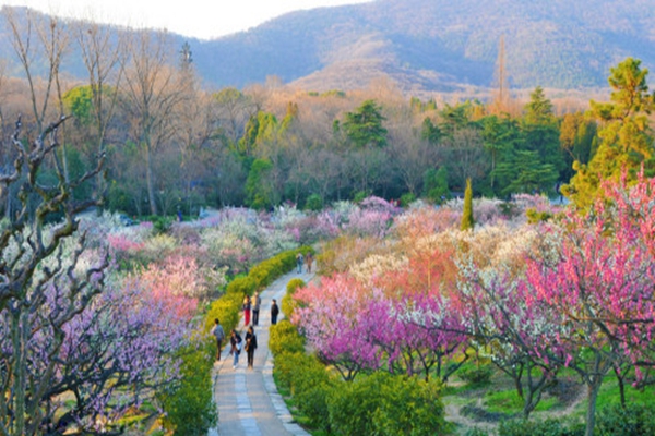 南京十大名山排行榜，南京最有名的山峰排行