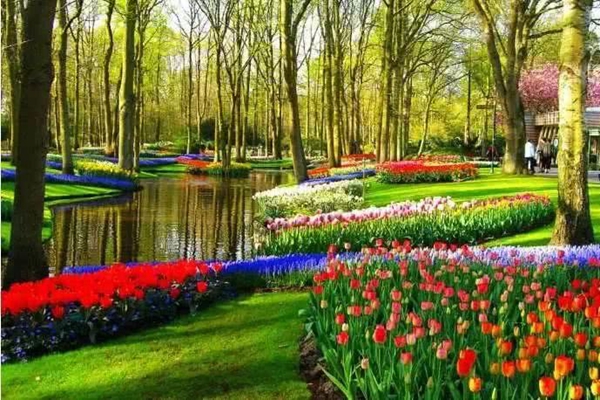 南京十大适合拍照的地方排行榜,南京旅游必去十大景点推荐